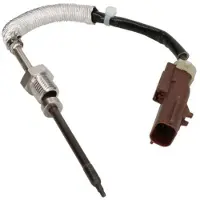 Delphi Palpeur, température des gaz TS30229