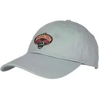 Santa Cruz Guzman Skull Cap Gris