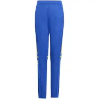 Adidas Pantalon de sport 'Squadra 25' bleu / citron vert