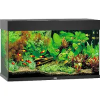 Juwel Rio Led 125 Aquarium Argenté