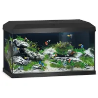 Juwel Aquarium Primo - Noir - 57 L