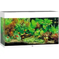 Gebr. De Boon Aquarium Rio 125 avec éclairage LED, pompe, filtre et chauffage, blanc