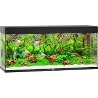Juwel Aquarium Rio 240 incl. éclairage LED, pompe, filtre et chauffage, noir
