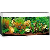 Gebr. De Boon Aquarium Rio 180 incl. éclairage LED, pompe, filtre et chauffage, blanc