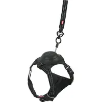Zolux Harnais pour chien avec laisse EASY RIDE noir S