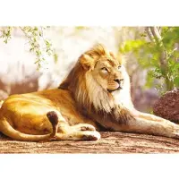 Nathan Le Roi de la Savane