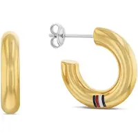 Tommy Hilfiger 2780949 Earrings Doré Femme