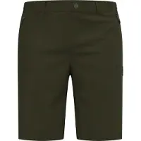 Odlo Ascent Light Shorts Vert 52 Homme