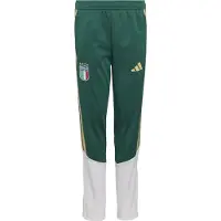 Adidas Pantalon de sport 'Italien 26 Tiro' beige / vert foncé / blanc
