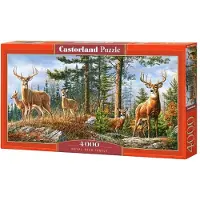 Castorland Puzzle 4000 pièces Famille de Cerfs Royaux 400317