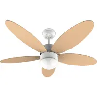 Cecotec VENTILADOR TECHO ENERGYSILENCE AERO 4260 ORANGE MOTOR DC CON MANDO