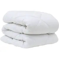 vidaXL Ensemble couette et oreiller 2 pcs blanc microfibre