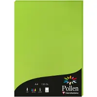 Clairefontaine Etui de 50 feuilles Pollen A4 Vert Menthe 120g