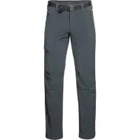 Maier Sports Oberjoch Pants Gris 25 / Short Homme