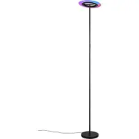 Reality Lampadaire LED, noir, télécommande, RGBW, H 175 cm