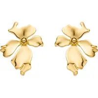 Luxenter Boucles d'oreilles 'Haiqua' or