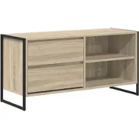 vidaXL : Meubles TV, 100 x 36 x 49,5 cm, panneaux de particules imitation bois Sonoma