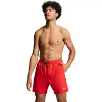 Puma Short De Bain 100000031