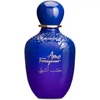 Salvatore Ferragamo Sauveur Ferragamo J'aime Ferragamo Oriental Bois EDP W 100ml