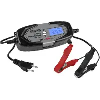 Sans marque Chargeur de batterie intelligent (4 A, 12V, 6V)