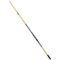 LINEAEFFE Canne à Surfcasting Vigor Beacher 2