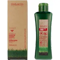 Salerm Biokera Haar Regenerierendes Shampoo 300ml