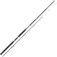 Kali Kunnan Zyros Bottom Shipping Rod Argenté 2.70 m / 150 g
