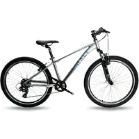 RALI Pro 1 26´´ Ty300 Mtb Bike Argenté Garçon
