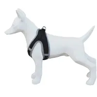 Freedog Soft Harnais pour chien Noir 40-45 cm Noir 40-45 cm