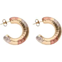 NAEMI Boucles d'oreilles or / or rose / argent