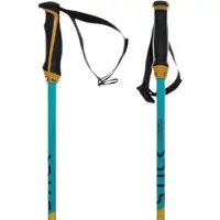 Völkl Phantastick Junior Poles Bleu 80 cm Enfants