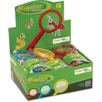 Safari Ltd Magnifying Glass 24 Display Figure Multicolore Enfants