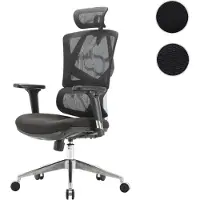 Mendler Chaise De Bureau Hwc-J89, Ergonomique, Appui-Lordose Haut Dossier Accoudoirs 3d Rembourré Noir