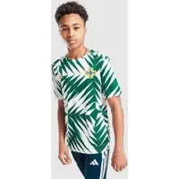 Adidas Maillot d'avant-match Irlande du Nord Junior - Vert, Vert
