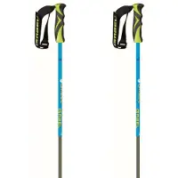 Gabel Skl-r Poles Vert 115 cm