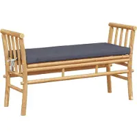vidaXL Banc de jardin avec coussins Marron 110 x 38 x 65cm Bambou