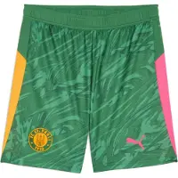 Puma Hommes, Bas de sport, Short FCSP GK (XXL), Vert, Orange