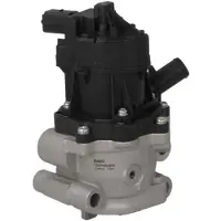Delphi Vanne EGR EG10612-12B1