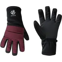 Dare 2b Freeride Gloves Violet XL