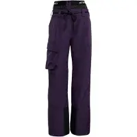 Adidas Terrex Xploric 2 Layer Insulated Climaproof Pants Violet M / Regular Femme