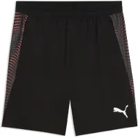 Puma Individualfinal Shorts Noir XL Homme