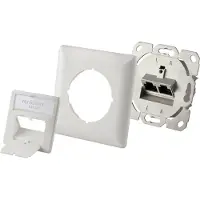 Renkforce Prise réseau encastrée Insert avec plaque centrale et cadre CAT 6a 2 ports blanc (RF-4695152)
