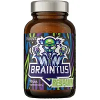 OstroVit réapparition de braintus (90 capsules) 5903246229554
