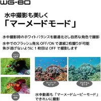 Ricoh WG-80 ORANGE