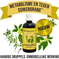 SkinnyLove Glucostop 100 ml Goutte(S)