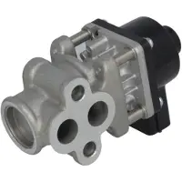 Delphi Vanne EGR EG10611-12B1