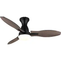 Globo Gale, Ventilateur, Noir, Marron
