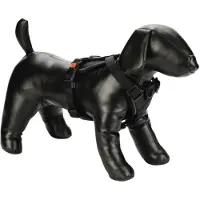 Karlie Harnais en Y Art Sportiv Premium (S, Chien)