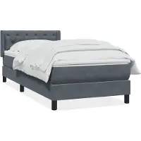 vidaXL Lit boxspring avec matelas gris foncé 80x220 cm velours