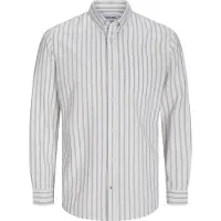 Jack & Jones Plus Chemise 'Oxford' beige foncé / blanc